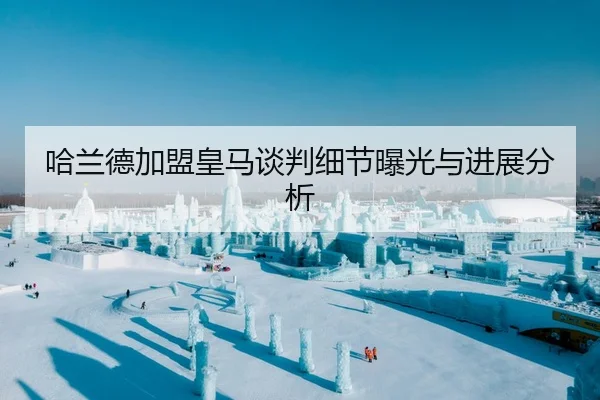 哈兰德加盟皇马谈判细节曝光与进展分析